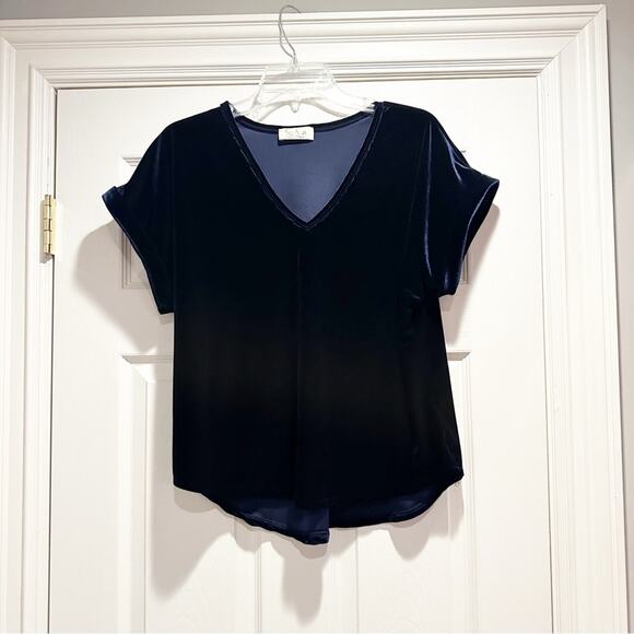 Sofia Made in Italy Blue Velvet Velour V Neck Top Shirt Large L Vintage Shirt - Picture 13 of 14